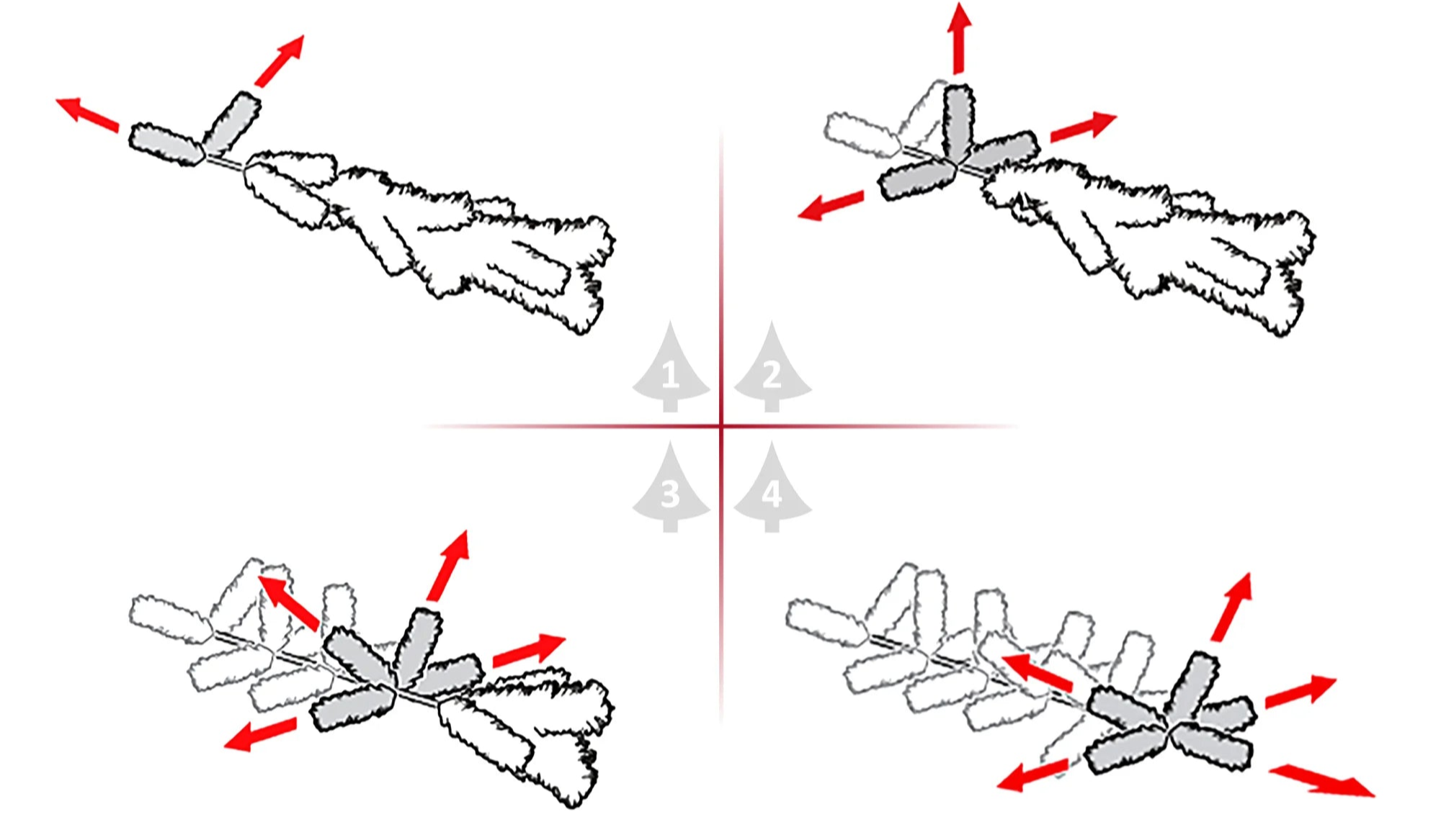 Long Sapin de Noël Enneigé 2m10 x 54cm