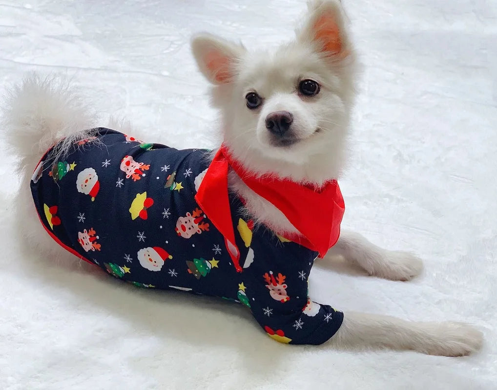 Pyjama de Noël Famille et Chien